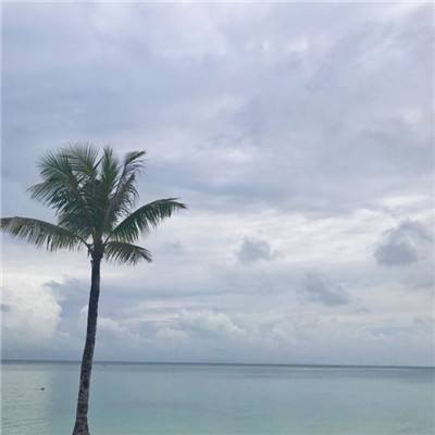 爱游戏·APP手机app下载